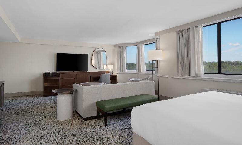 Junior King Suite with Sofa Bed image 4