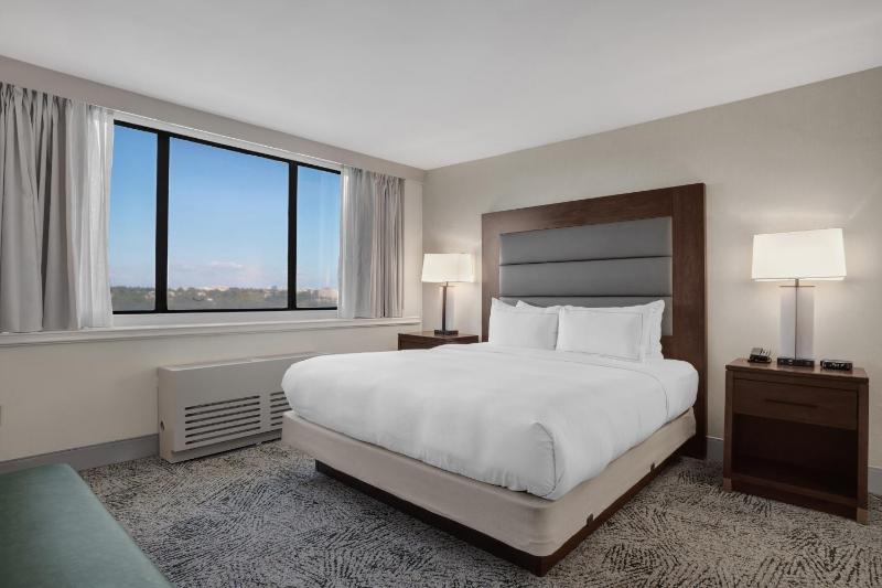 Junior King Suite with Sofa Bed image 3