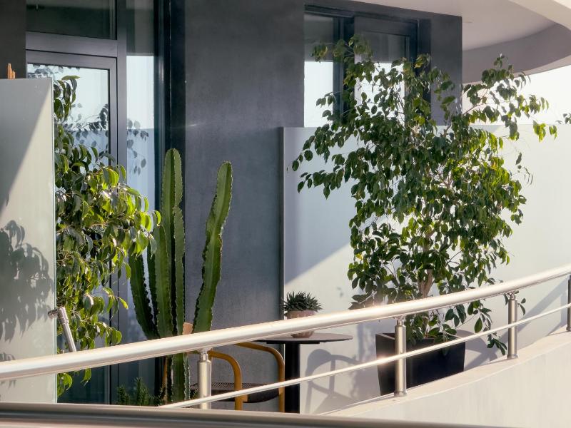 Zins Luxury Rooms - image 13