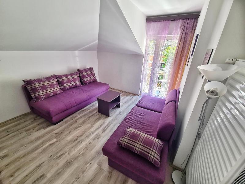 Maja V Apartmani Sokobanja - image 5