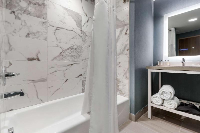 1 Bedroom King Suite image 4