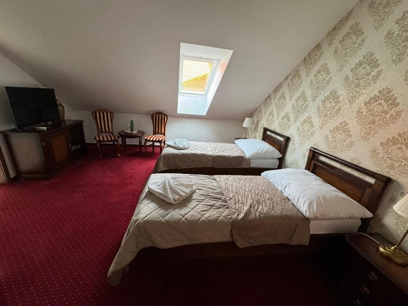 Standard Twin Room image 4