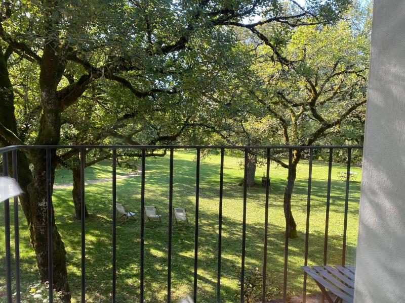 Comfort Double Room image 3