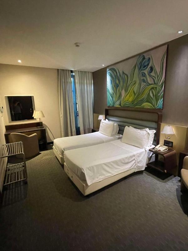 Sure Hotel by Best Western Turin City Centre - image 6