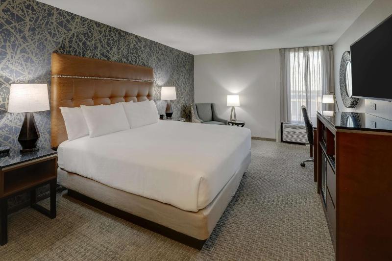 Deluxe King Room image 4