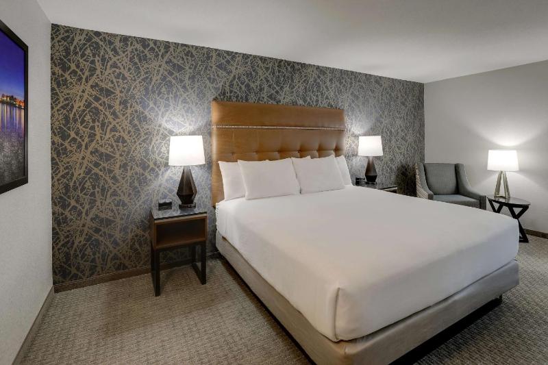Deluxe King Room image 3