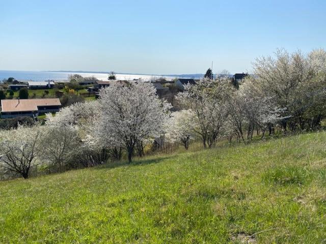 Newly Buily Holiday Home In Handrup With Stunning Views Of The Rolling Landscape - image 28