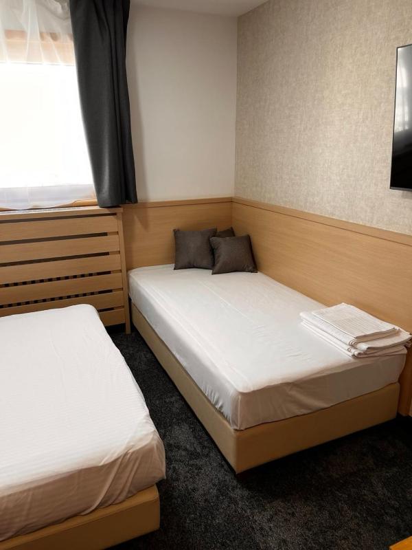 Superior Double or Twin Room image 4