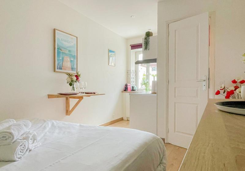 Canopee rue Carnot Annecy - image 7