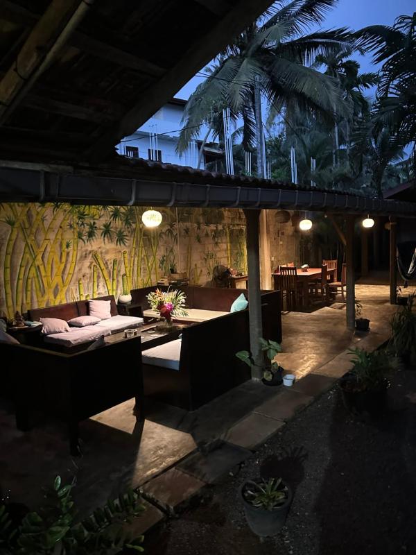 The Calm Palm - image 13