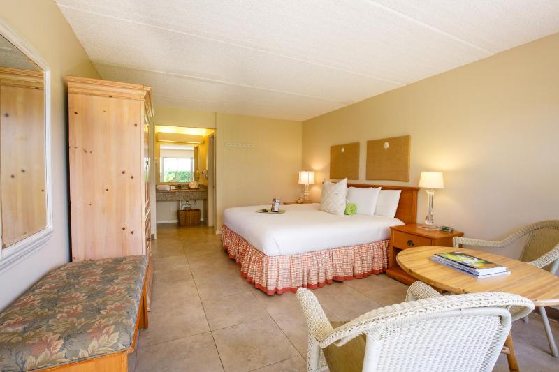Standard King Room image 2