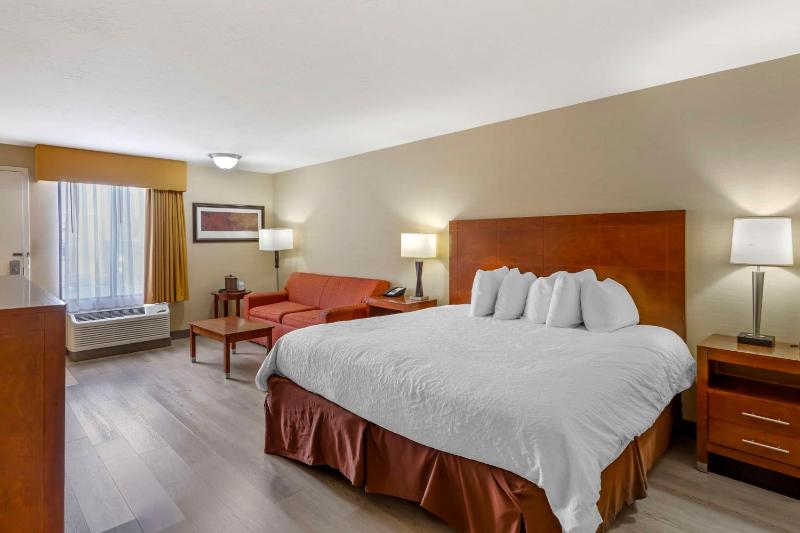 King Room with Sofa Bed-Pet Friendly image 4