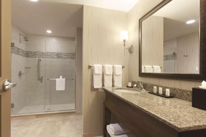 King Studio Suite image 2
