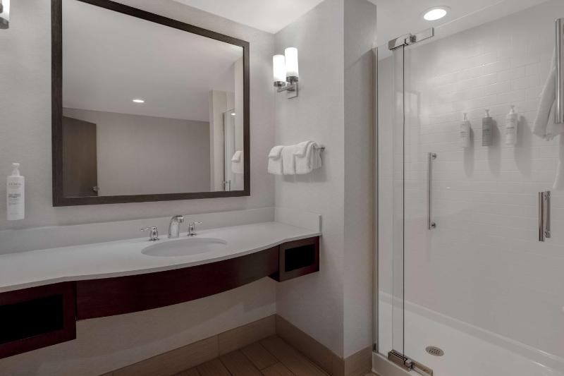 One-Bedroom King Suite with View image 2