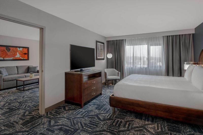 One-Bedroom King Suite with View image 3