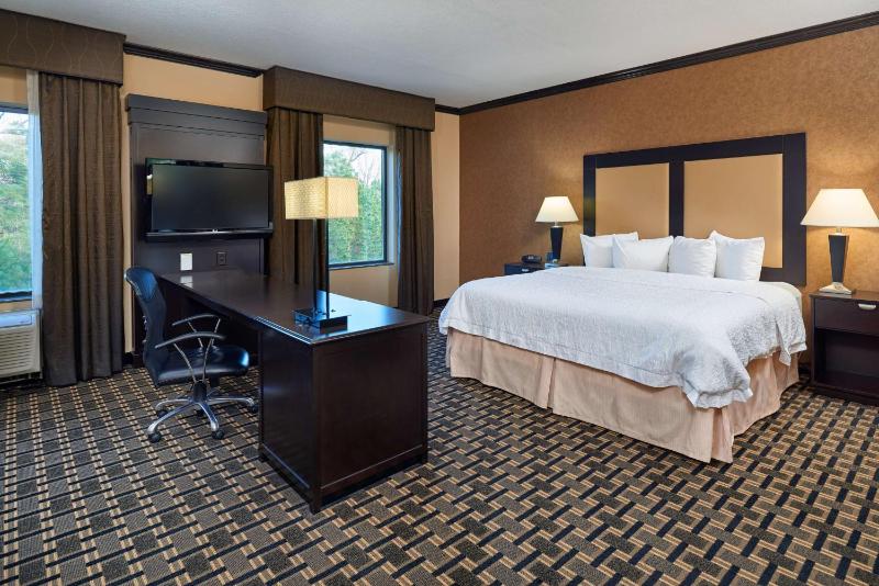 King Studio Suite with Sofa Bed - Non-Smoking image 4