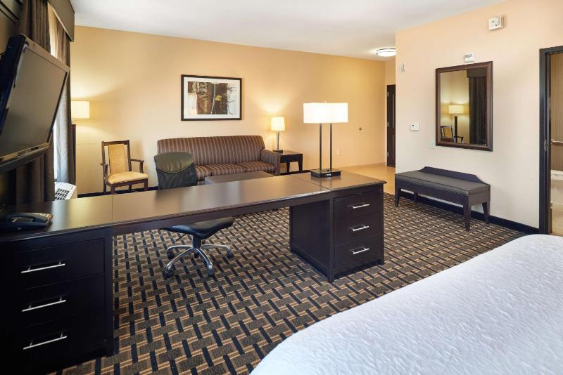 King Studio Suite with Sofa Bed - Non-Smoking image 3