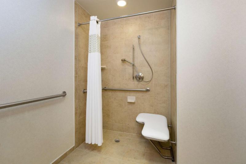 Hampton Inn Houston-Near the Galleria - image 14