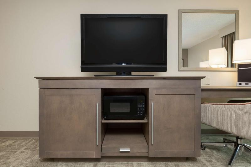 Hampton Inn Houston-Near the Galleria - image 12