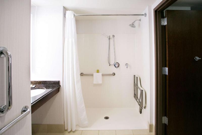 King Room with Roll-In Shower - Mobility Access image 3
