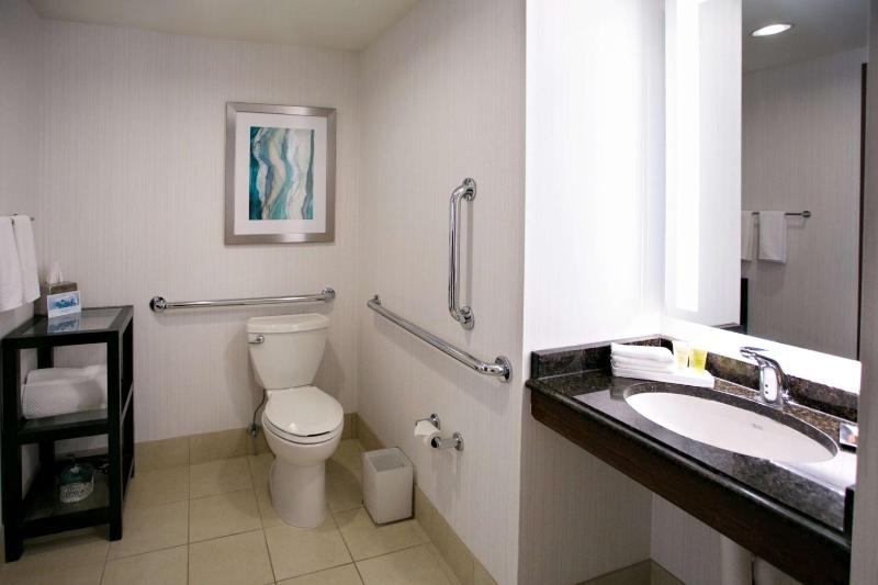 King Room with Roll-In Shower - Mobility Access image 2
