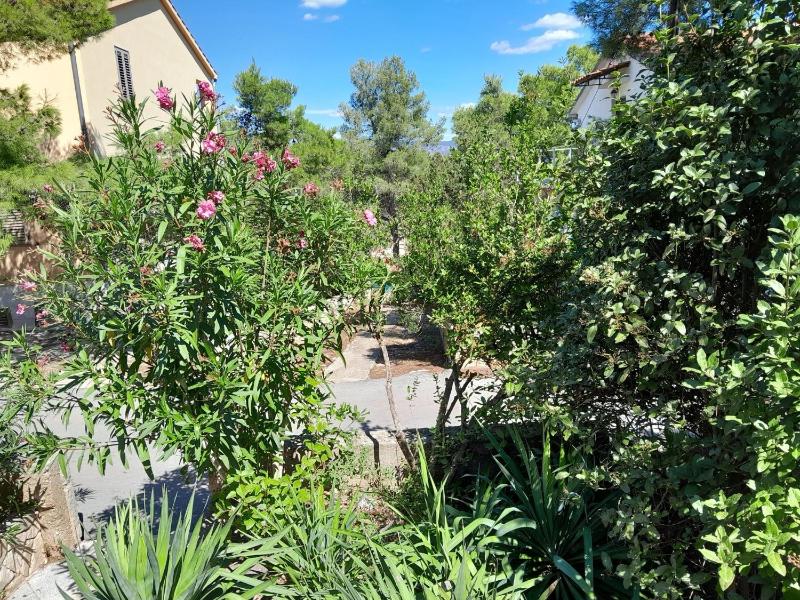 Three-Bedroom Apartment with Terrace image 3