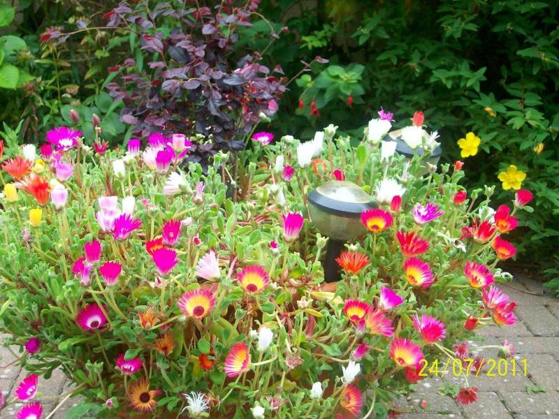 Galway Guest House - image 26