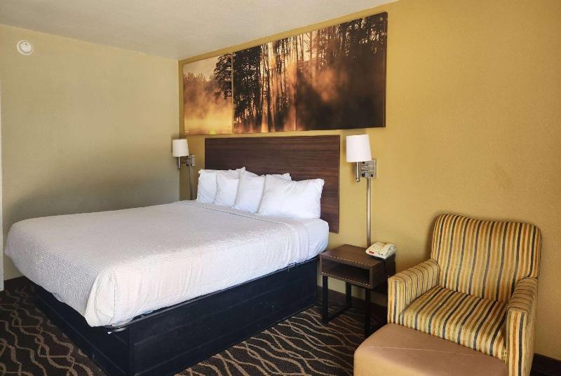 1 King Bed, Studio Suite, Smoking image 4