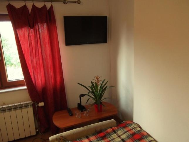 Single Bed in 4-Bed Dormitory Room image 1