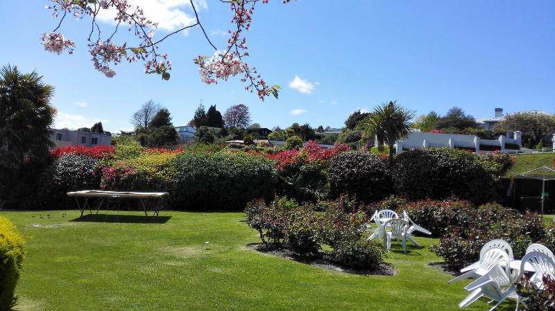 Phoenix Thermal Resort - Taupo - image 12
