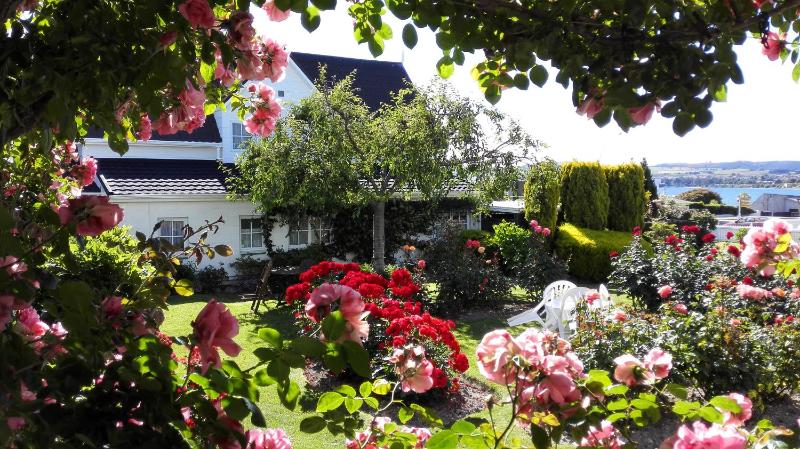 Phoenix Thermal Resort - Taupo - image 23