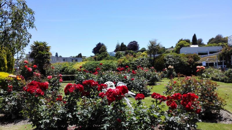 Phoenix Thermal Resort - Taupo - image 8