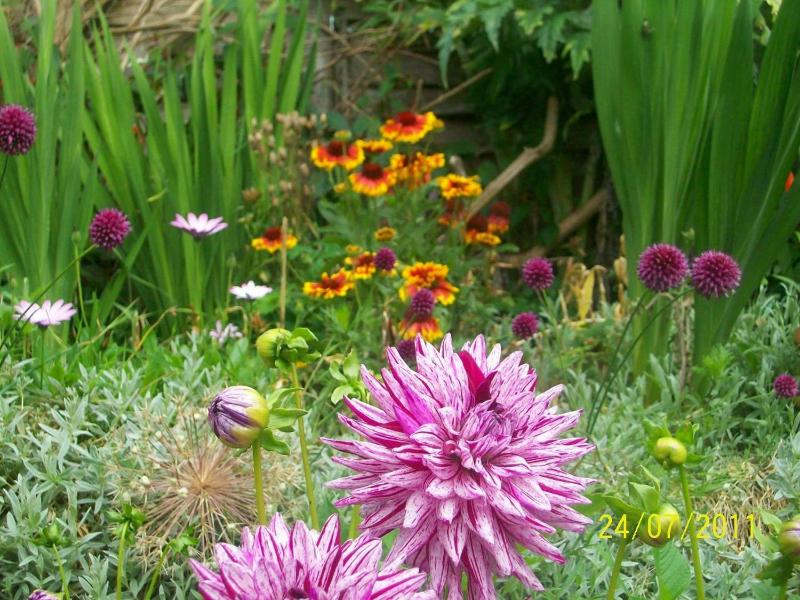 Galway Guest House - image 29