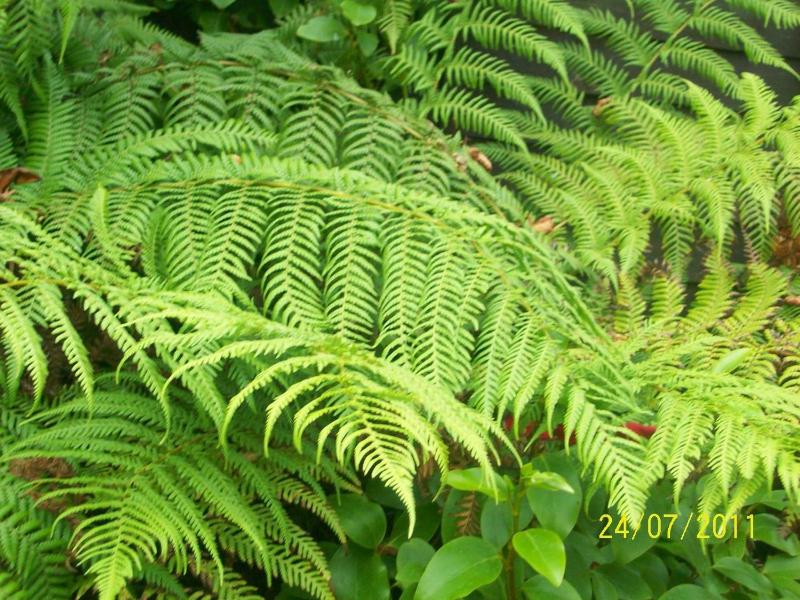 Galway Guest House - image 28