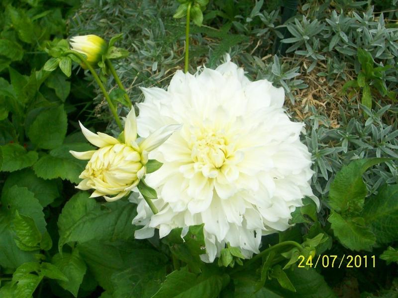 Galway Guest House - image 3