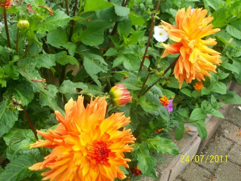 Galway Guest House - image 13