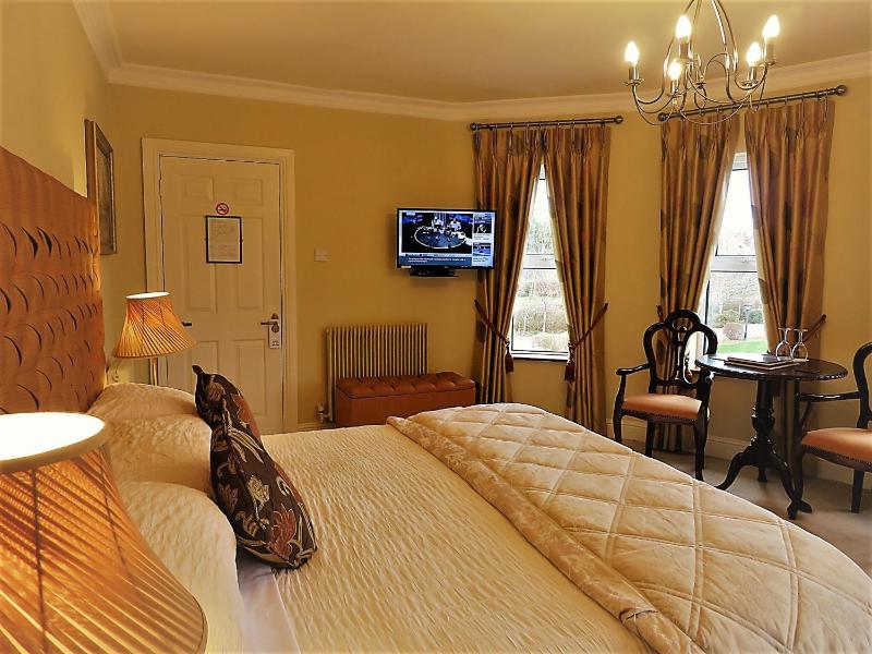 Deluxe King Room image 1