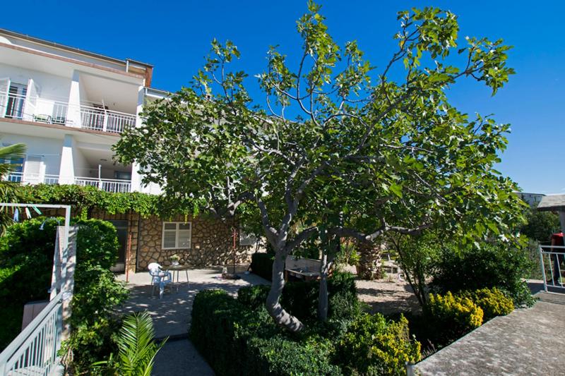 Apartment with Sea View image 3
