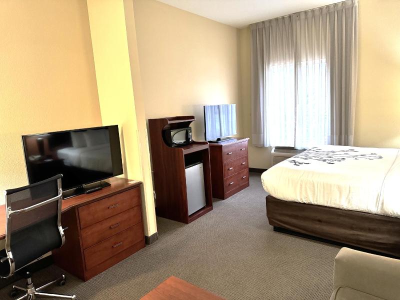 Suite image 2