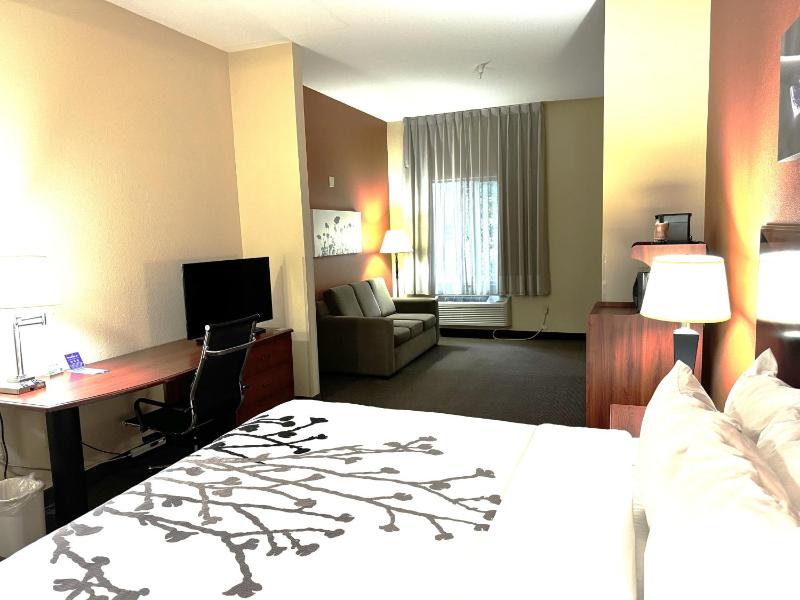 King Suite - Accessible/Non-Smoking image 2