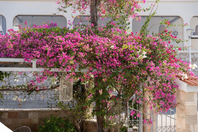 Two-Bedroom Villa image 4
