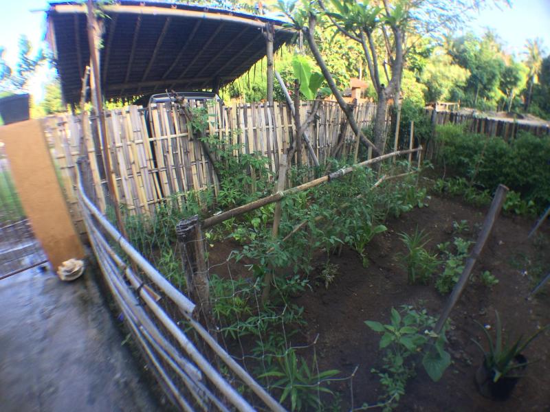 Jeges Homestay - image 36