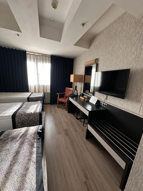 Standard Triple Room image 4