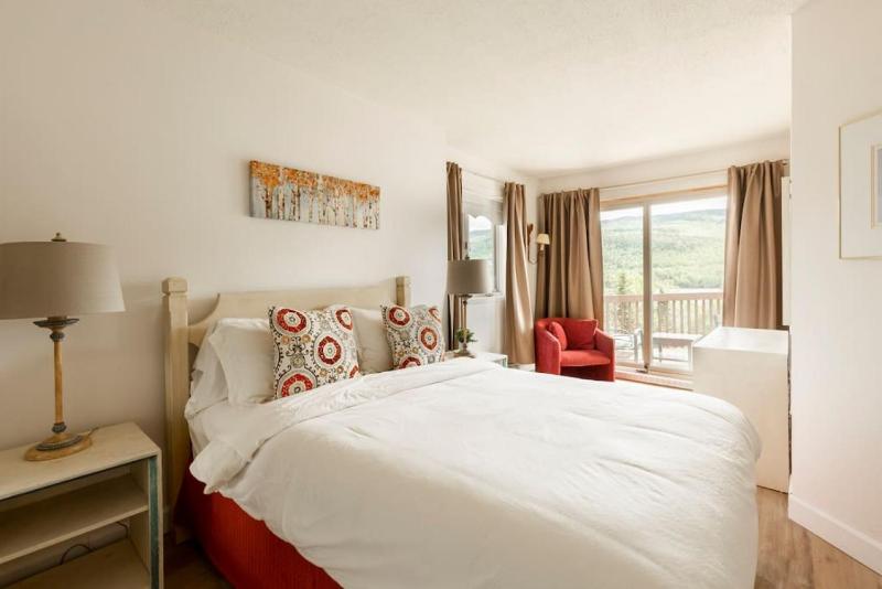 InstantSuites- The Mountain Lake house - image 1
