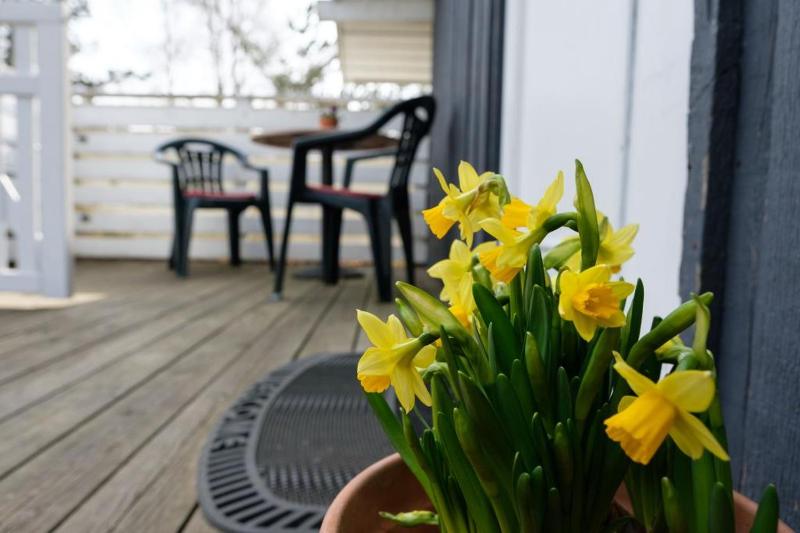 Well-Maintained Holiday Home On Private Natural Plot Just 200 Meters From Boeslum Beach - image 12