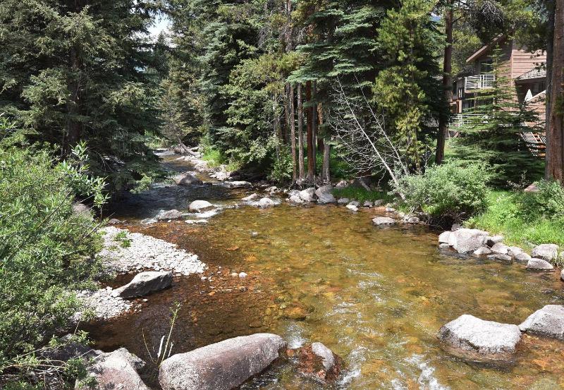 Timber Falls #1805 - image 18