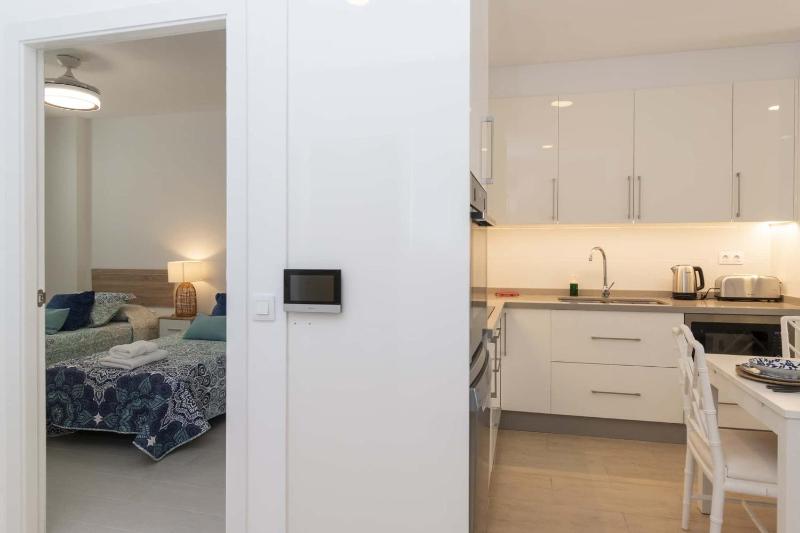 Santa Amalia 1 - Three Bed - image 20