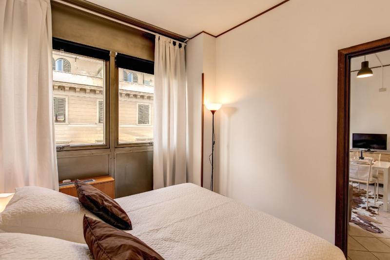 One-Bedroom Apartment image 4