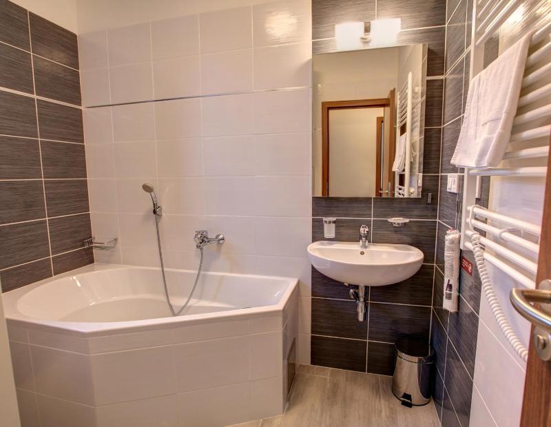 Large Studio Apartment with Extra Bed image 3