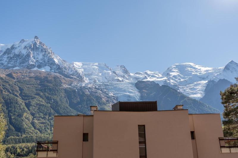 Appartement lumineux à Chamonix avec vue imprenable sur Mont Blanc et parking - image 3